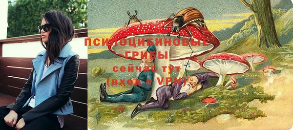 ECSTASY Алексин