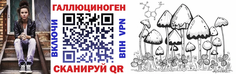 Псилоцибиновые грибы Psilocybine cubensis  Советская Гавань 